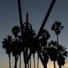 Job hunting in LA - last post by Daniel Delarusa